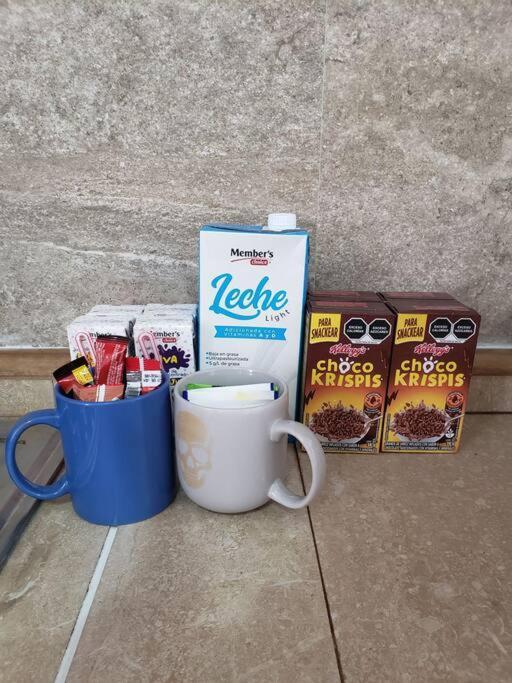 Petit Y Comodo Loft En La Ciudad. Monterrey Zewnętrze zdjęcie